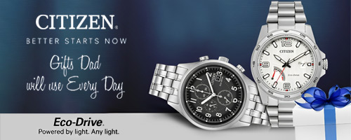Citizen Watches For Dad At Baggett's Jewlry